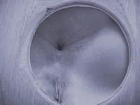 Katja Kassin - Glory hole - Scene 3 - Video - 290822