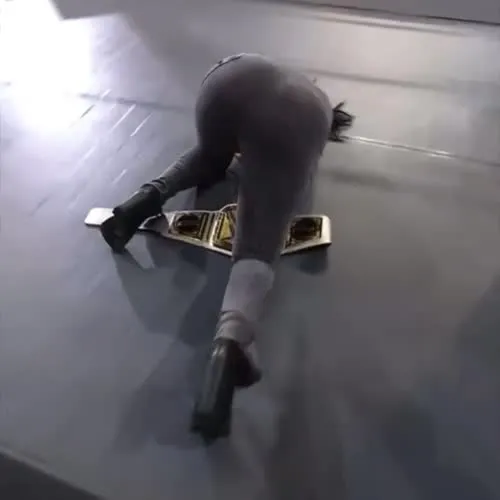 WWE Bayley / Davina Rose / Pamela Rose Martinez - Video #371187