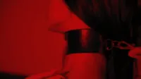 Sanktor - Donna