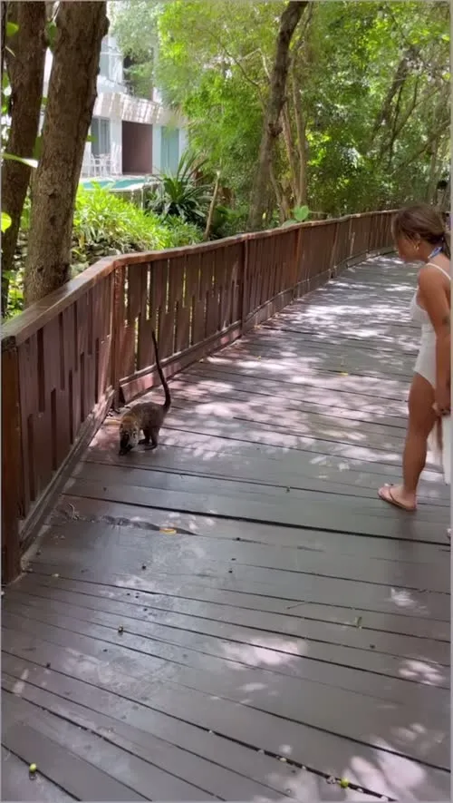 Kayla Braxton - Video