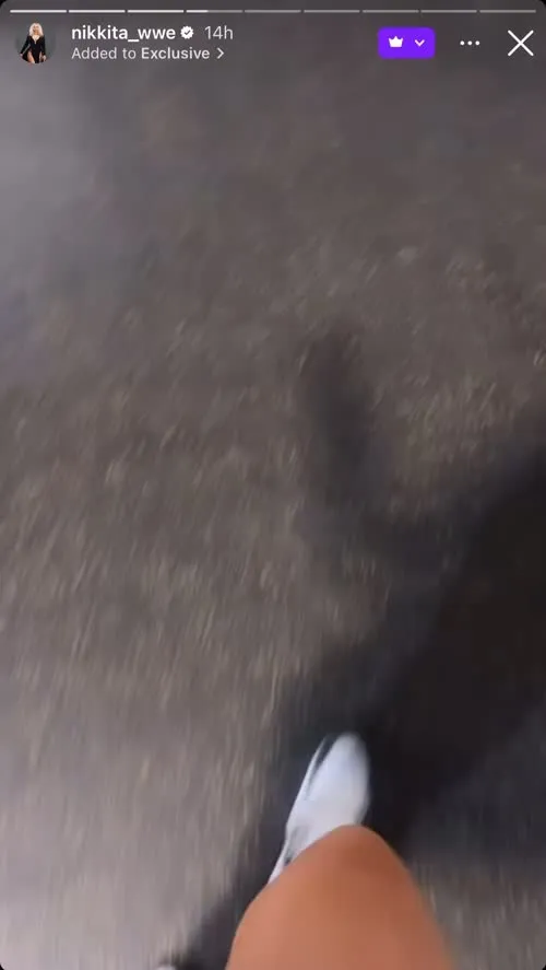 WWE Nikkita Lyons - Video #363611