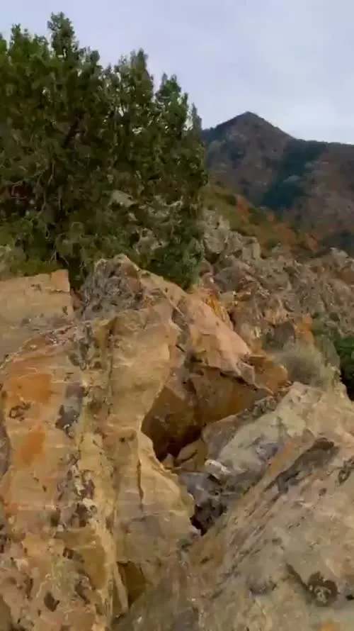 Isabela Merced - Video #137528