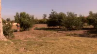 Kelly Madison - Shootin wabbits