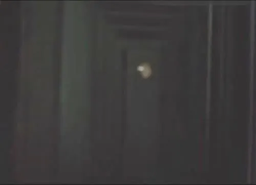 Elizabeth Hurley - Video #119093