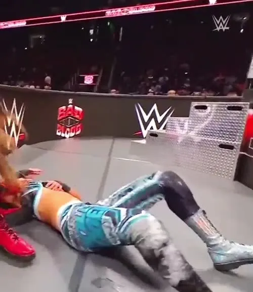 WWE Bayley / Davina Rose / Pamela Rose Martinez - Video