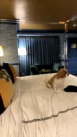Evelyn Claire - Video