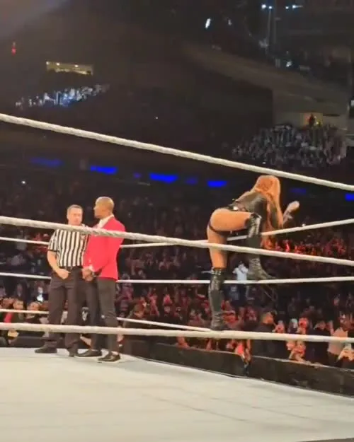 WWE Becky Lynch - Video #323039