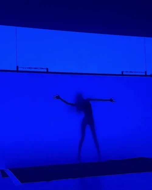 Lisa | BLΛƆKPIИK (Blackpink) - Video