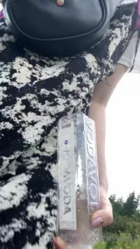 Vixenp - Source