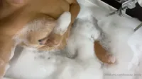 Adaline Star / Beauty_busty - Video