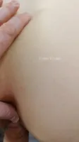 Vixen Virago - Video