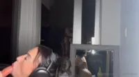 Dakota Tyler dakotatylerxxx - Video