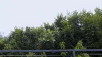 Lumi Ray | LumiRay - Video