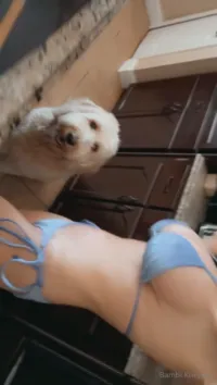 Casca Akashova - Video