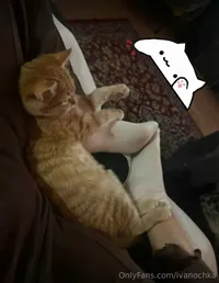 ivano4ka / ivanka.meow / incredible.cat / iv.ch3 - Video