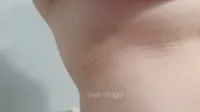 Vixen Virago - Video
