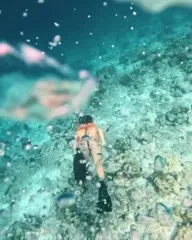 Humberly González - Video