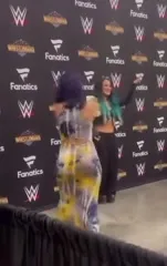 WWE Bayley / Davina Rose / Pamela Rose Martinez - Video #421564