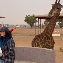 WWE Bayley / Davina Rose / Pamela Rose Martinez - Video