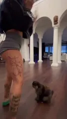 Zelina Vega // Thea Trinidad - Video #410630