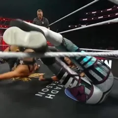 WWE Bayley / Davina Rose / Pamela Rose Martinez - Video