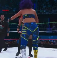 WWE Bayley / Davina Rose / Pamela Rose Martinez - Video #422710