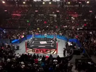 WWE Bayley / Davina Rose / Pamela Rose Martinez - Video #422982