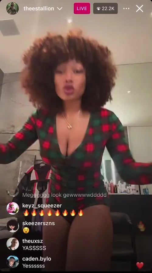 Megan Thee Stallion - Video #244504