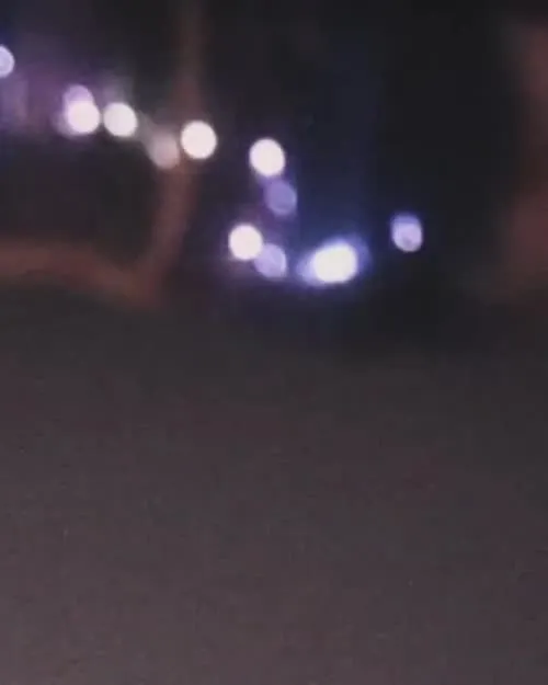 Brighton Sharbino - Video #292116