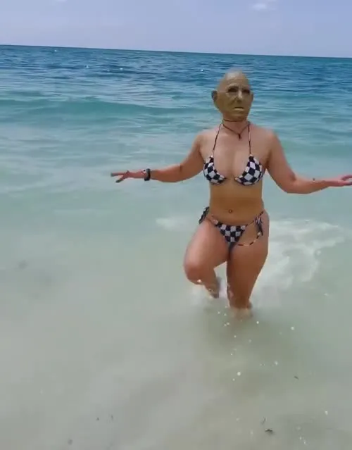 WWE GiGi Dolin / Priscilla Kelly - Video