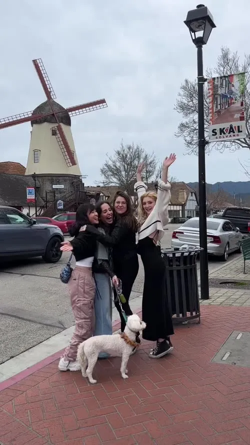 Willow shields - Video