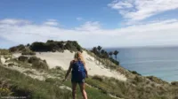 InTheCrack - 1376 01 Cherie Deville hike the shorts