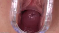 InTheCrack - 1414 04 cleo vixen opening seen