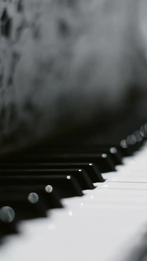 Rihanna - Video