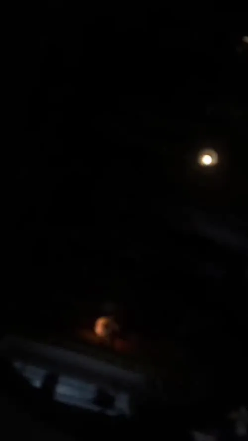 beabadoobee radvxz - Video #155395