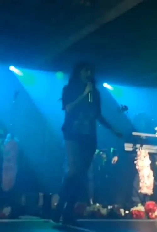 Lauren Mayberry (Singer) - Video