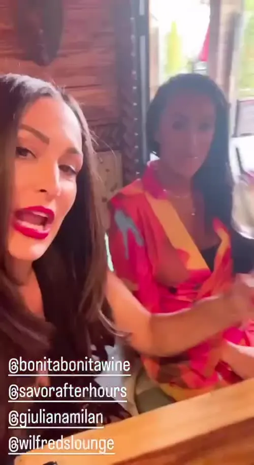 The Bella Twins: Nikki Bella & Brie Bella | Garcia Twins - Video #245463