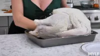 Dee Williams - 2019 stuffing her thanksgiven pussy