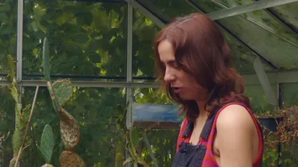 Clairo | Claire Cottrill - Video