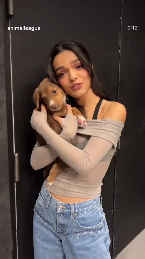 Rachel Zegler - Video