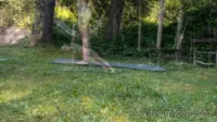 Ifeelmyself - Dryad dreaming by Lucy P (2024-02-29)
