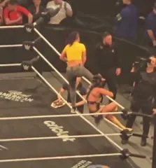 WWE Bayley / Davina Rose / Pamela Rose Martinez - Video #410527
