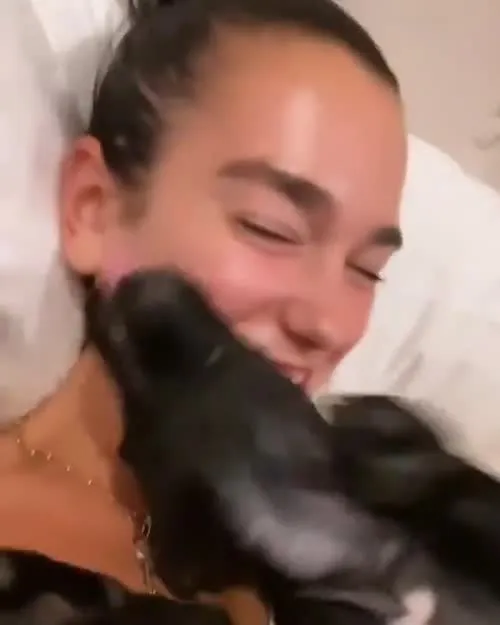 Dua Lipa - Video