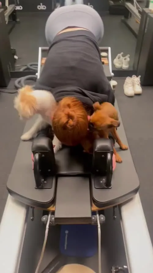 Madelaine Petsch - Video