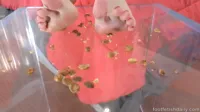 Foot Fetish Daily | FootFetishDaily - 3200 Anny Aurora soles on glass