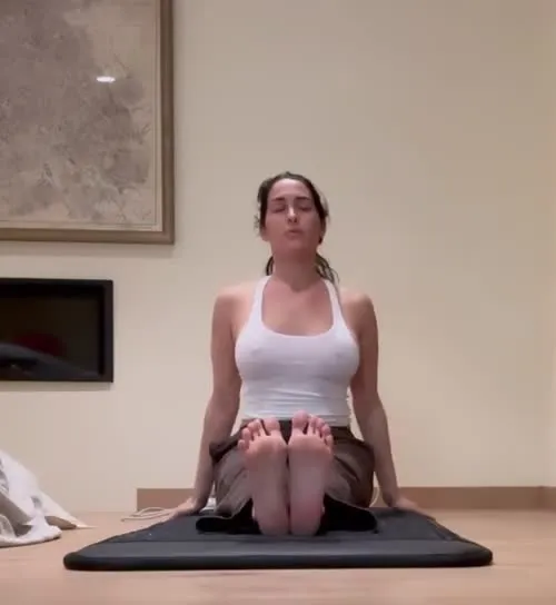 The Bella Twins: Nikki Bella & Brie Bella | Garcia Twins - Video #291659
