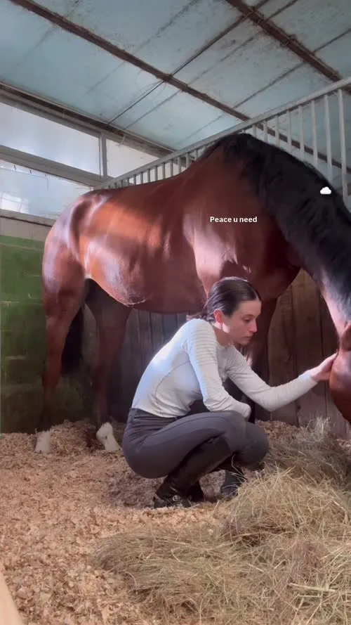 Maria Pedraza - Video #119027