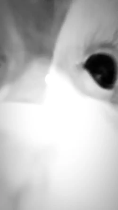 Sophie Thatcher - Video