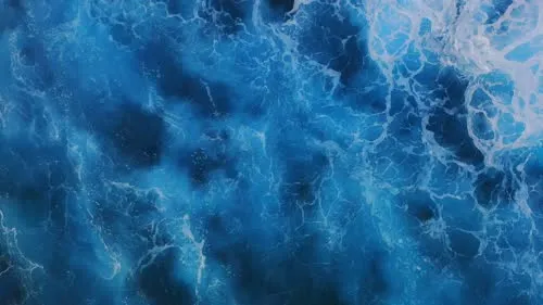 Emma Watson - Video