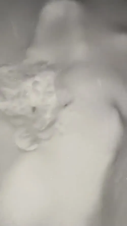 Heidi Montag - Video
